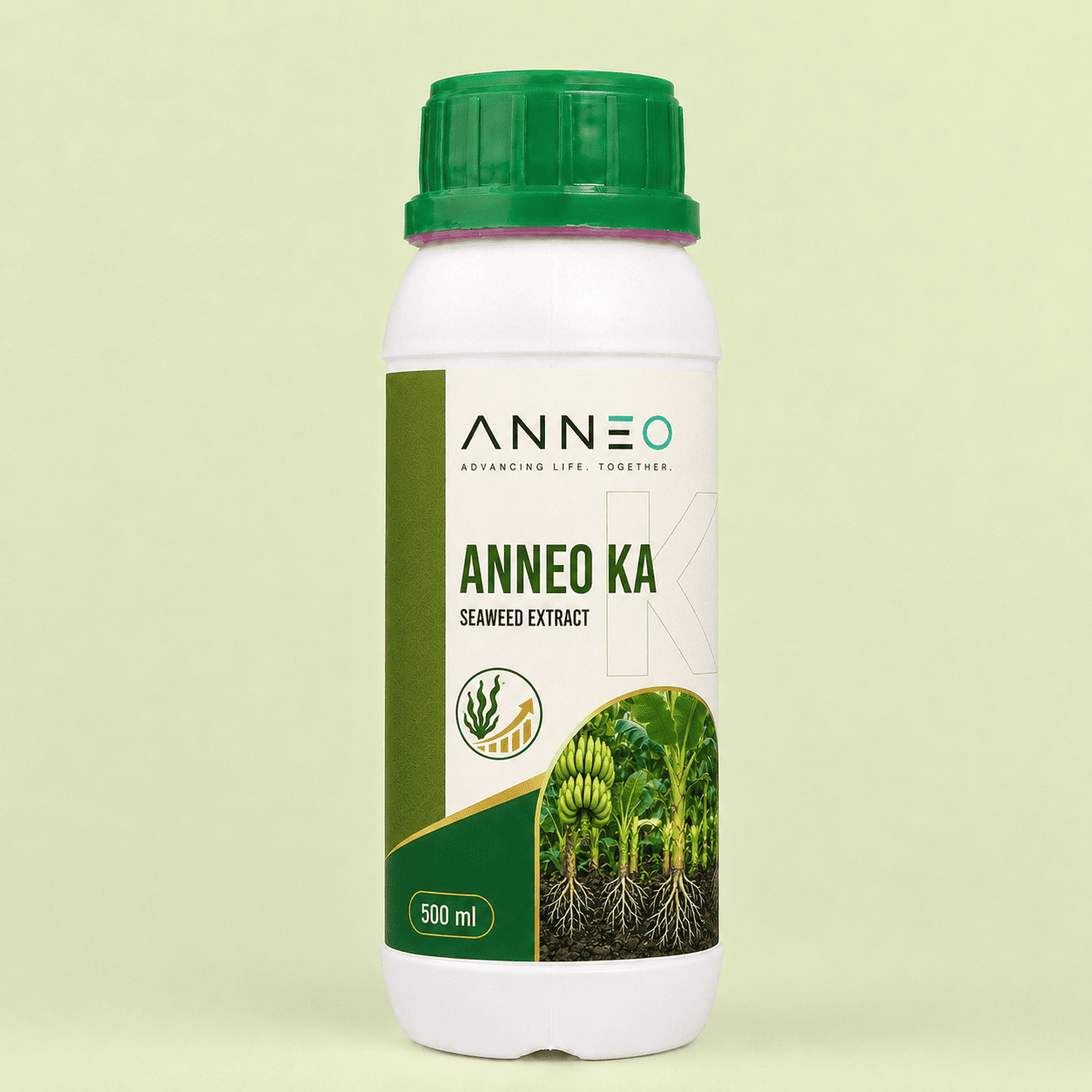 Anneo KA seaweed extract